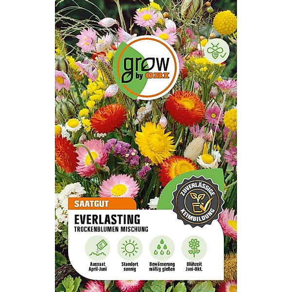 GROW by OBI Everlasting Trockenblumen Mehrfarbig Höhe ca. 90 cm günstig online kaufen