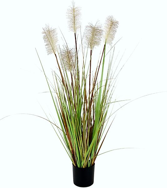 I.GE.A. Kunstgras "Pampasgras" im Kunststofftopf günstig online kaufen