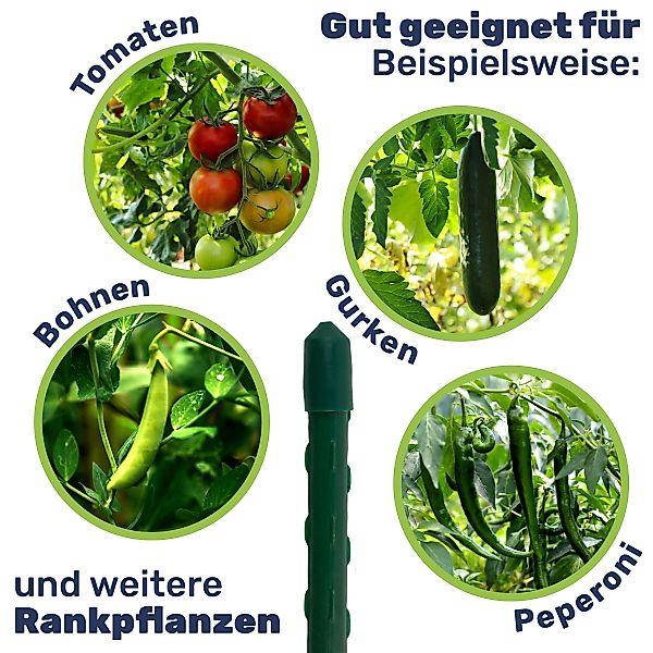Gravidus Rankhilfe Pflanzstab Rankhilfe Stahl mit günstig online kaufen