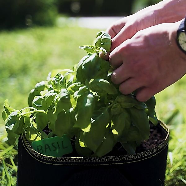 Praknu Pflanzkübel Pflanzsack 5x 20L aus günstig online kaufen