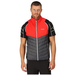 Regatta Funktionsjacke Softshelljacke Steren Hybrid günstig online kaufen