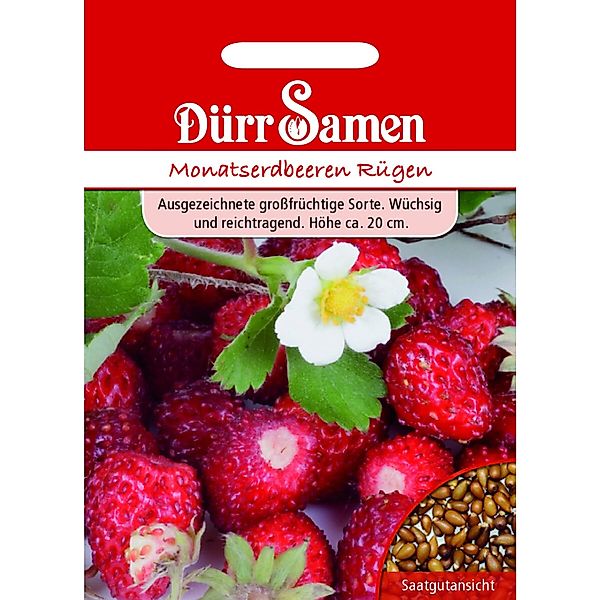 Dürr Samen Monatserdbeeren Rügen Saatgut günstig online kaufen