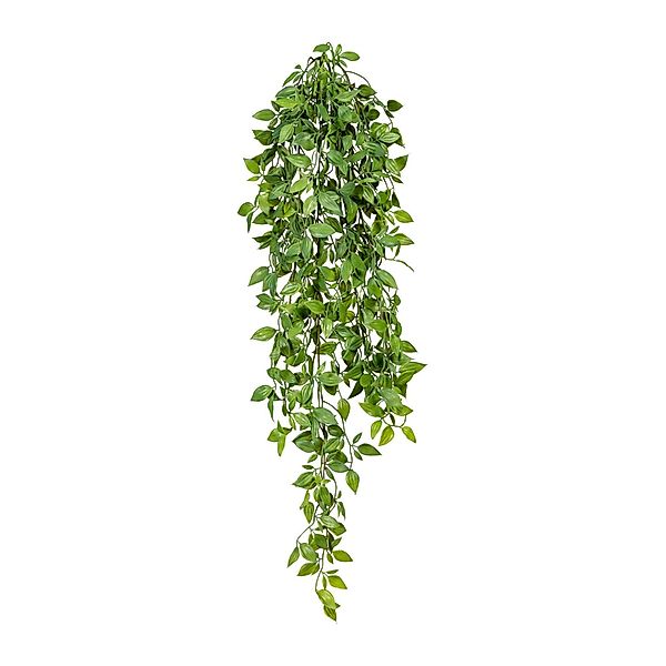 Kunstranke Künstliche Epipremnum-Miniblatthänger 80cm, Fuchs Versand günstig online kaufen