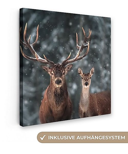 OneMillionCanvasses® Leinwandbild Hirsche - Tiere - Winter - Geweih - Schne günstig online kaufen