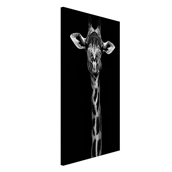 Magnettafel Tiere - Hochformat 3:4 Dunkles Giraffen Portrait günstig online kaufen