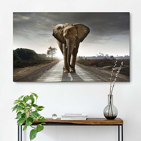 Reinders! Wandbild »Elefant König« günstig online kaufen