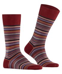 FALKE Socken Microblock (1-Paar) mit hochwertiger günstig online kaufen