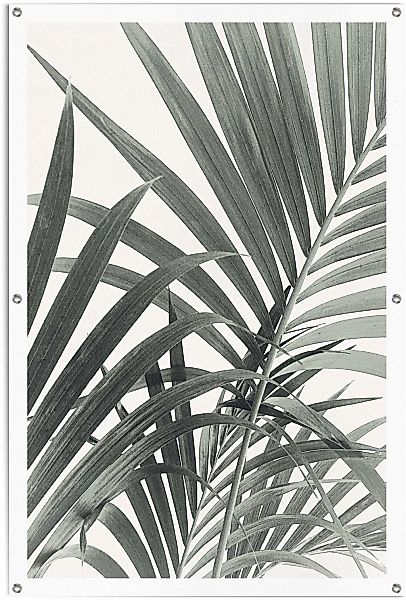 Reinders Poster "Palmenblätter" leichtes und wasserfestes Gartenposter für günstig online kaufen