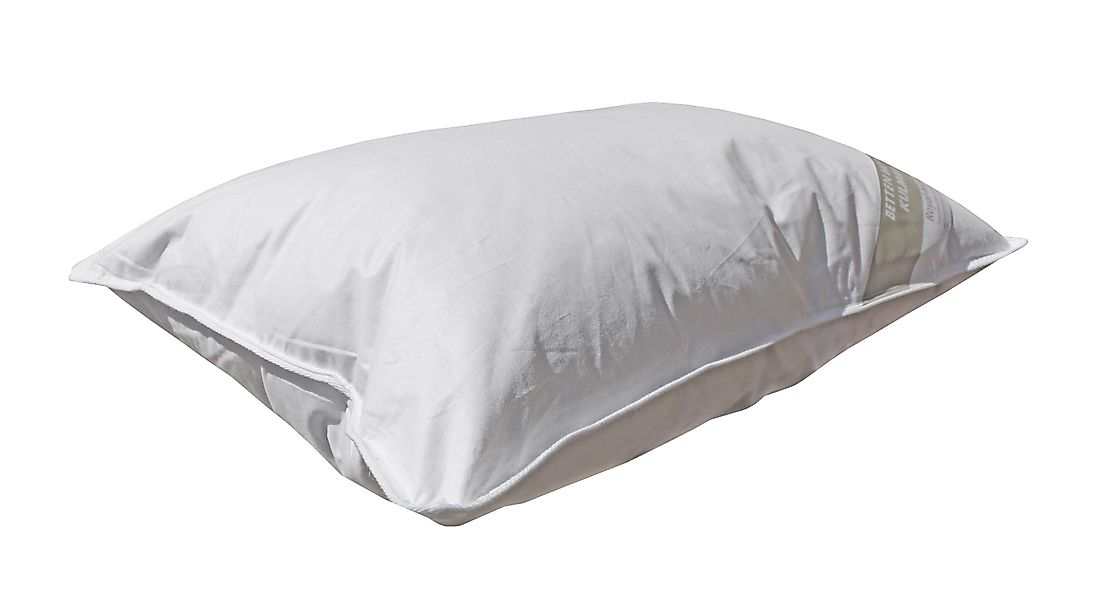 Betten Hofmann Federkopfkissen Pusta Kopfkissen 40x60 günstig online kaufen