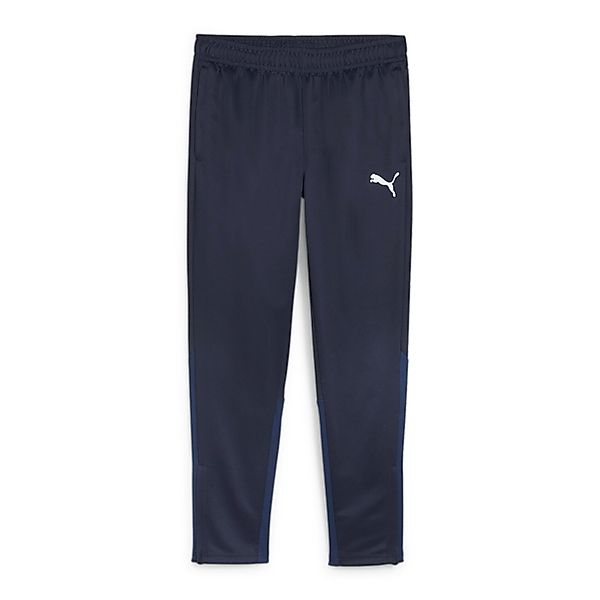 PUMA Trainingshose Puma Herren Trainingshose teamGOAL günstig online kaufen