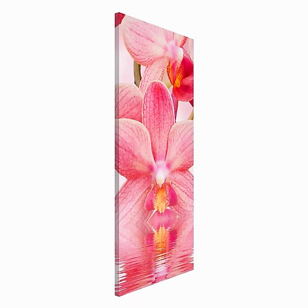 Magnettafel - Hochformat 1:2 Rosa Orchideen auf Wasser günstig online kaufen