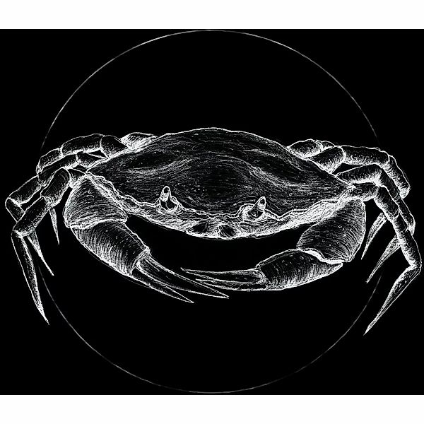 Komar Bild "Crab Black", Tiere, (1 St.), Wandbild zur Dekoration - ohne Rah günstig online kaufen