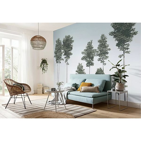 KOMAR Vlies Fototapete - Pines - Größe 400 x 280 cm mehrfarbig günstig online kaufen