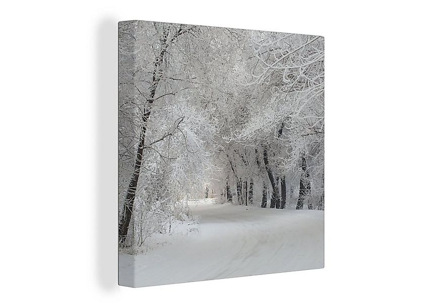 OneMillionCanvasses® Leinwandbild Bäume - Schnee - Winter, Fotodruck (1 St) günstig online kaufen