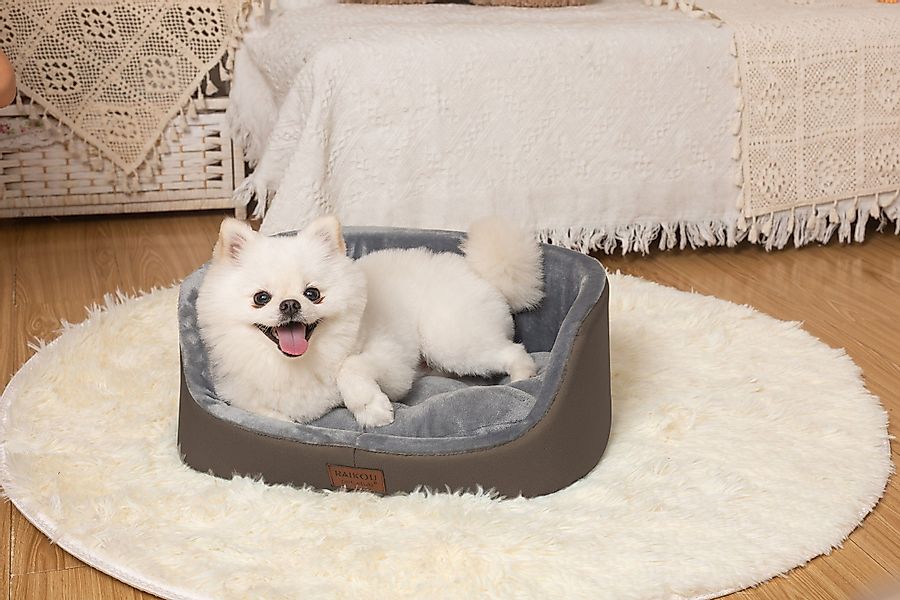 RAIKOU Tierbett Orthopädisches Hundebett XXL Hundesofa günstig online kaufen
