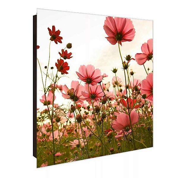 Banjado Großer Schlüsselkasten Glas 30x30cm Schwarz Scharnier Rechts 50 Hak günstig online kaufen
