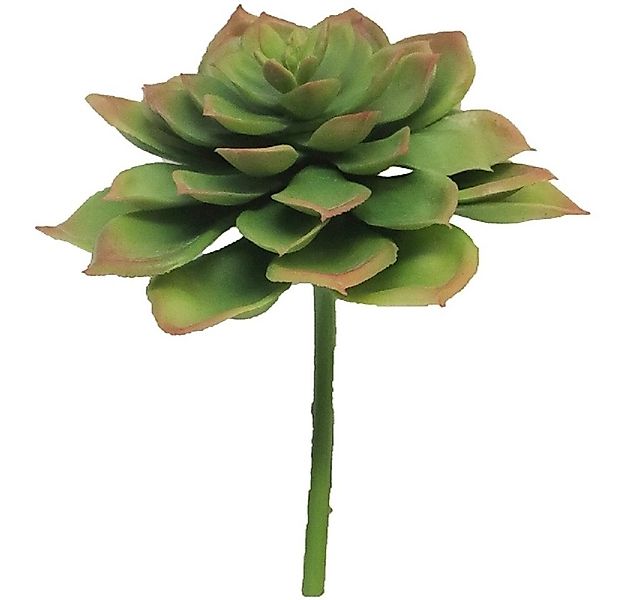 Kunstpflanze Exner Sukkulente ArtificialNature, grün, 17 cm, 248339, Exner günstig online kaufen