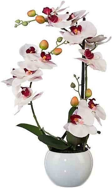 Kunstpflanze Phalaenopsis Orchidee, Creativ green, Höhe günstig online kaufen
