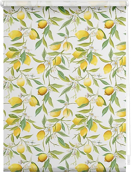 LICHTBLICK ORIGINAL Seitenzugrollo »Rollo Klemmfix, ohne Bohren, blickdicht günstig online kaufen