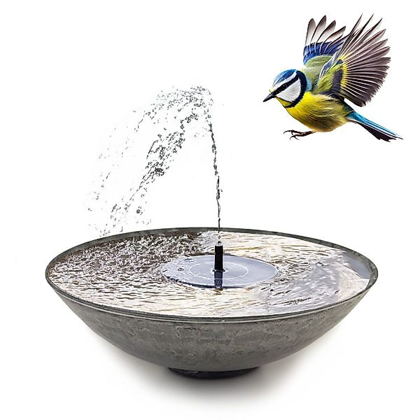 matches21 HOME & HOBBY Blumentopf Pflanzschalen günstig online kaufen
