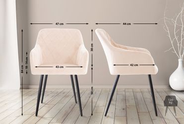CLP Esszimmerstuhl Shila (2er Set), Samt günstig online kaufen