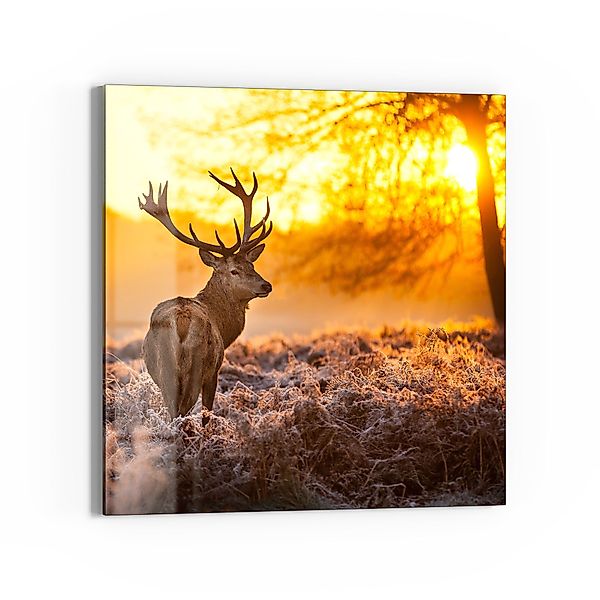 DEQORI Magnettafel 'Hirsch am Wintermorgen', Whiteboard günstig online kaufen