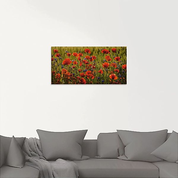 Artland Glasbild "Sommermohn", Blumen, (1 St.), in verschiedenen Größen günstig online kaufen