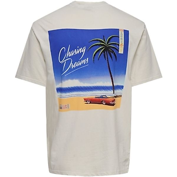 Only & Sons   T-Shirt T-Shirt Passa Vice Kurzarmshirt günstig online kaufen