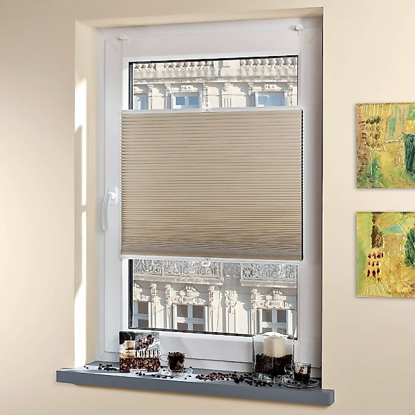 Liedeco Plissee "Klemmfix-Thermo-Plissee" Lichtschutz ohne Bohren verspannt günstig online kaufen