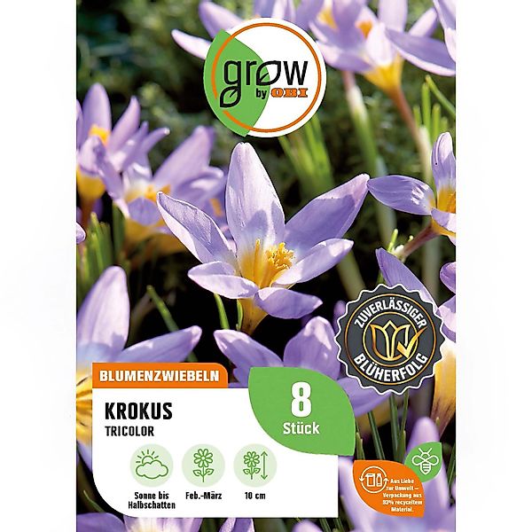 GROW by OBI Krokus Tricolor Lila-Beige 8 Stück Crocus sieberi Tricolor günstig online kaufen