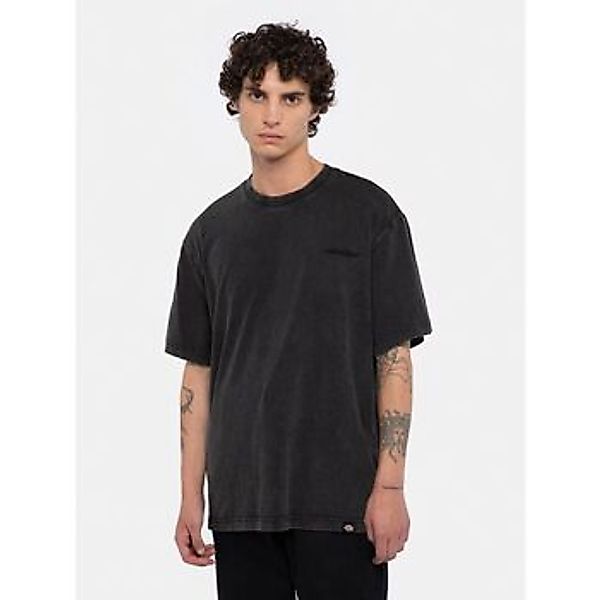 Dickies  T-Shirts & Poloshirts PLENTYWOOD TEE - DK0A866BH861-ACID BLACK günstig online kaufen