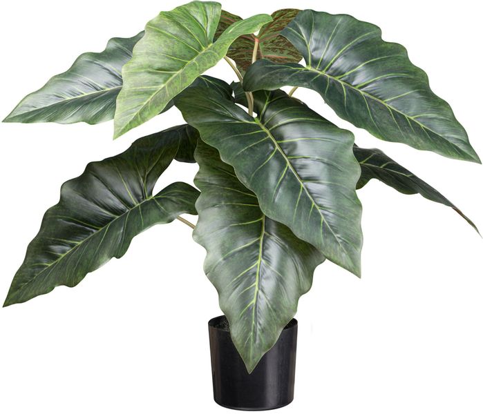 Kunstpalme Taropflanze Grünpflanze, Creativ green, Höhe günstig online kaufen