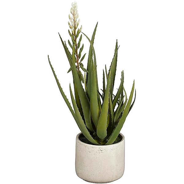 Mica Decorations Aloe Vera Grün Höhe 58 cm Ø 38 cm günstig online kaufen