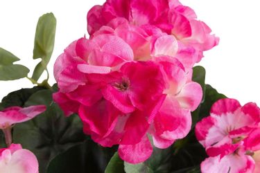 Botanic-Haus Kunstblume "Geranie mit 6 Stielen" günstig online kaufen