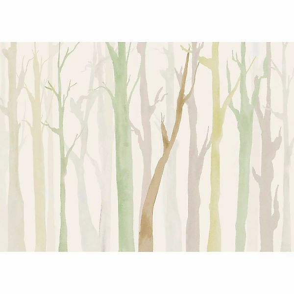 Komar Vliestapete Shadow Woods 350 cm x 250 cm Mehrfarbig günstig online kaufen