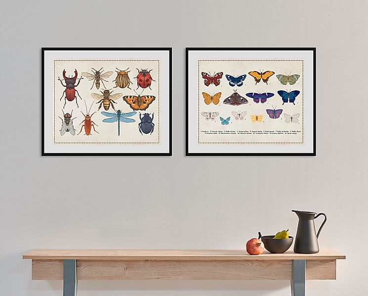 queence Bild »Das Große Krabbeln«, Schmetterlinge-Kunst-Insekten, (1 St.), günstig online kaufen