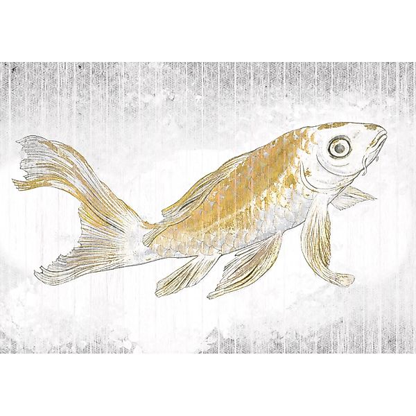 Komar Fototapete Vlies Golden Koi  400 x 280 cm günstig online kaufen