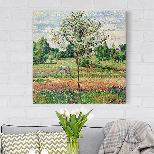 Leinwandbild - Quadrat Camille Pissarro - Wiese mit Schimmel günstig online kaufen