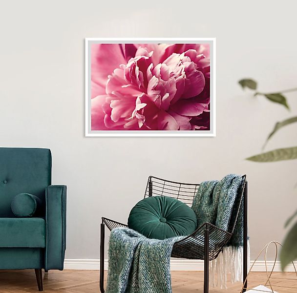 queence Bild »Andreas«, Blumen-Blumenbilder-Pflanzenbilder-Foto-Kunst, HD P günstig online kaufen