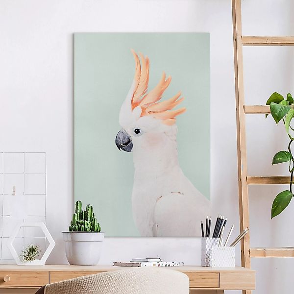 Leinwandbild Kakadu vor Pastellblau günstig online kaufen