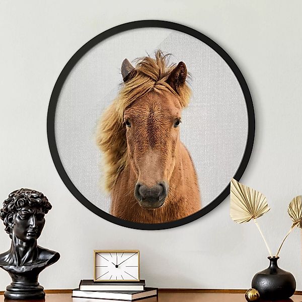 Rundes Gerahmtes Bild Pferd Pauline günstig online kaufen