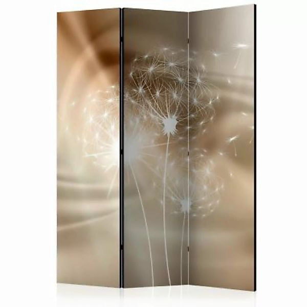 artgeist Paravent Solar Illusion [Room Dividers] weiß/beige Gr. 135 x 172 günstig online kaufen