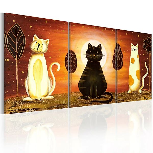Wandbild Geheimnisvolle Katzen XXL günstig online kaufen