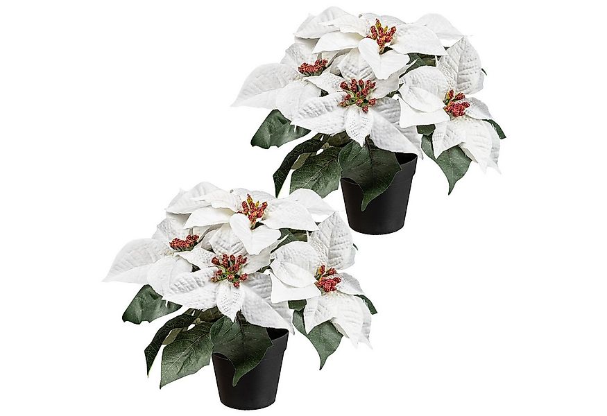 Winterliche Kunstpflanze Weihnachtsstern, Creativ green, Höhe 26 cm, mit üp günstig online kaufen