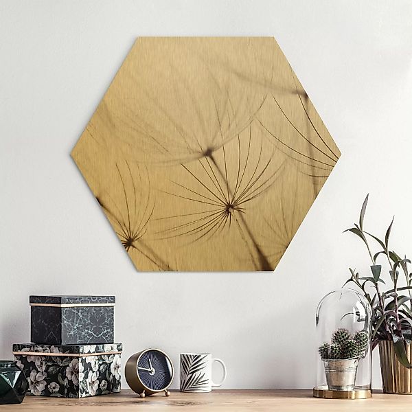 Hexagon-Alu-Dibond Bild Blumen Sanfte Gräser günstig online kaufen