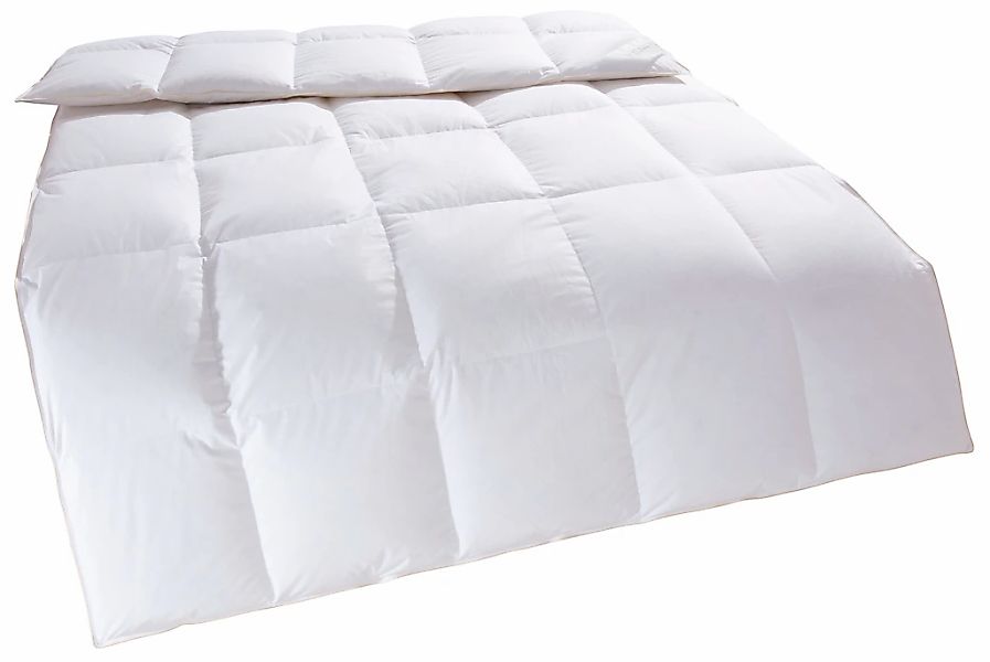 Home affaire Daunenbettdecke Litrone, Bettdecke 135x200 günstig online kaufen