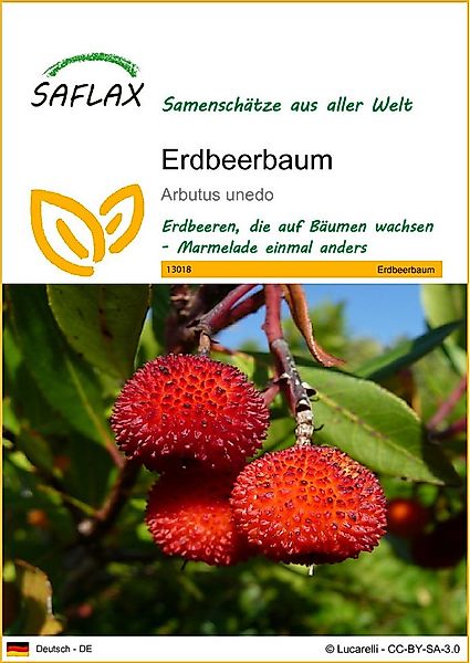 SAFLAX Blumensamen SAFLAX - Samen - Erdbeerbaum günstig online kaufen