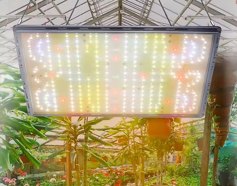 LA CUTE Vollspektrum LED Wachstumslampe XXL Premium 250w LED Pflanzenlicht günstig online kaufen