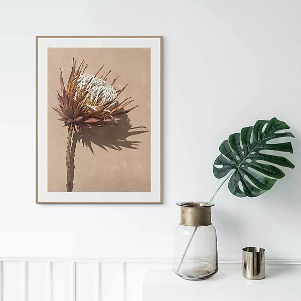 Reinders! Wandbild »Protea Blume« günstig online kaufen