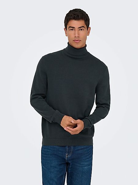 ONLY & SONS Rollkragenpullover "ONSHOLGER REG ROLL NECK KNIT - OTL" günstig online kaufen